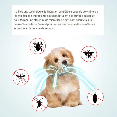 Collier Anti Puces Pour Chien, Colliers Anti Puces Et Anti Tiques Pour Chiens, Collier Anti Puces Et Anti Tiques Pour Chats,Grands Chiens Plus De 8 Kg, Petits Chiens Moins Ou égal à 8 Kg, 1 Pièce – Image 2