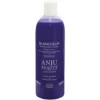 Shampooing Eclat Blancheur Anju Beauté : 1 Litre