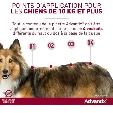 Advantix Chien Solution Antiparasitaire Tres Grande Race 40 A 60kg 6 Pipettes – Image 2