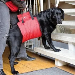 Harnais De Soutien Antérieur Pour Chiens Handicapés Ou à Mobilité Réduite Désignation : Harnais De Soutien MORIN IMPORT 227300