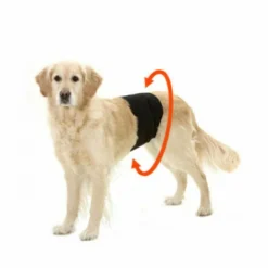 Flamingo Culotte D'incontinence Et Fuite Urinaire Pour Chien Mâle - Taille S