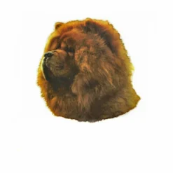 Autocollant Race Chow Chow 14 Cm - Lot De 2