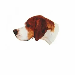 Autocollant Race Pointer