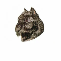 Autocollant Race Bouvier Des Flandres 7 Cm - Lot De 4