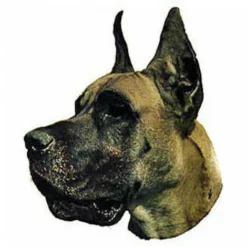 Autocollant Race Dogue Allemand Fauve 7 Cm - Lot De 4