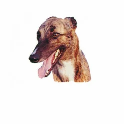 Autocollant Race Greyhound 14 Cm - Lot De 2