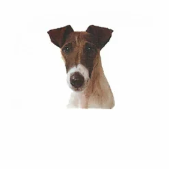 Autocollant Race Fox Terrier Poil Lisse 7 Cm - Lot De 4