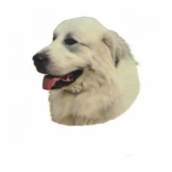 Autocollant Race Montagne Des Pyrénées 7 Cm - Lot De 4