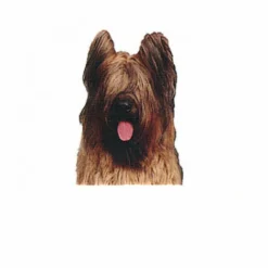 Autocollant Race Briard Fauve 14 Cm - Lot De 2