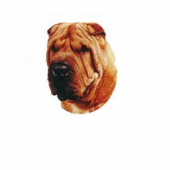 Autocollant Race Shar Pei 7 Cm - Lot De 4