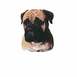 Autocollant Race Bullmastiff 7 Cm - Lot De 4