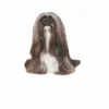Autocollant Race Lhassa Apso Gris 7 Cm - Lot De 4