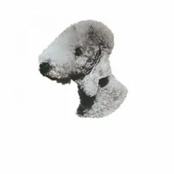 Autocollant Race Bedlington