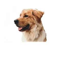 Autocollant Race Hovawart 14 Cm - Lot De 2