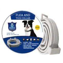 Collier Antiparasitaire Pour Chiens, Collier Anti-Puces Et Anti-Tiques Pour Chiens,Tiques Collier Anti-puces Et Anti-tiques Ajustable Et Imperméable 8 Mois Protection Taille Unique Fontainebleau