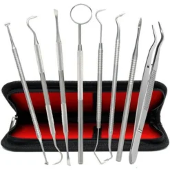 Ensemble De 8 Pièces Pour Soins Dentaires, Instrument De Dentiste En Acier Inoxydable, Outils Dentaires