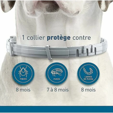 Colliers Pour Chien Lot De 2 Colliers Anti-puces Et Anti-tiques Pour Chiens (petits Chiens De Moins De 8 Kg) Colliers Anti-insectes Et Anti-puces-kartokner – Image 2