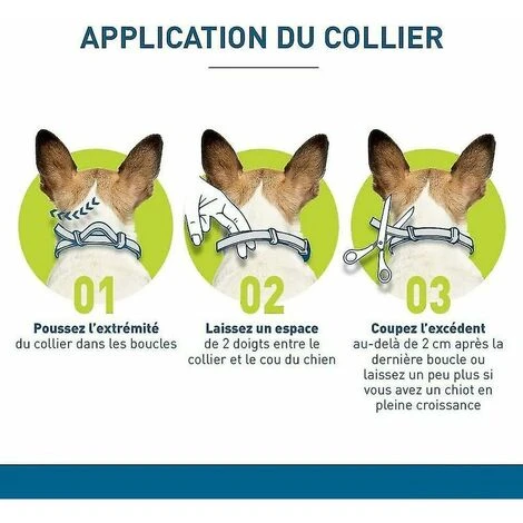 Colliers Pour Chien Lot De 2 Colliers Anti-puces Et Anti-tiques Pour Chiens (petits Chiens De Moins De 8 Kg) Colliers Anti-insectes Et Anti-puces-kartokner – Image 3