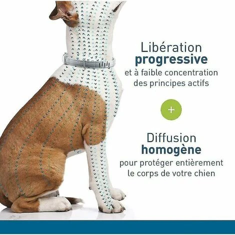 Colliers Pour Chien Lot De 2 Colliers Anti-puces Et Anti-tiques Pour Chiens (petits Chiens De Moins De 8 Kg) Colliers Anti-insectes Et Anti-puces-kartokner – Image 5