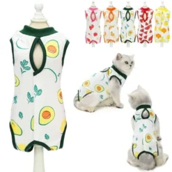 Body Chat Post Operatoire Gilet De Récupération De Chat Chiot Chiens Plaies Abdominales Après La Chirurgie Porter Maladies De La Peau E Collier Alternative Vêtements (Avocat, M)