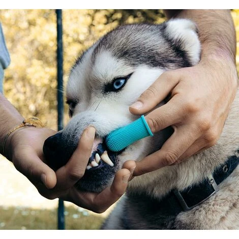 Brosse A Dent Chien Et Chat - Brosse A Dent Pour Chien Et Brosse A Dent Chat - Nettoyage À 360 Degrés Pour Hygiène Et Santé Du Chien Et Chat - Brosse A Dents Chien - Doigtier Dents Chien - Bleu 2Pices – Image 3