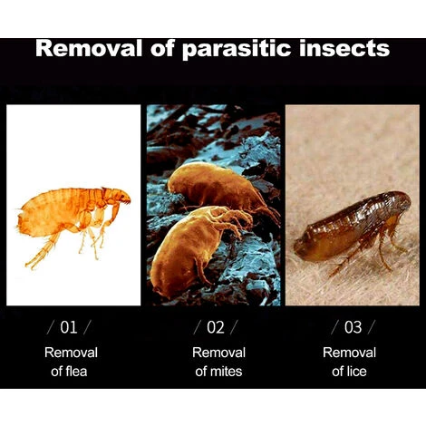 Collier Anti-insectes Pour Animaux De Compagnie Pour Chats Et Chiens Collier Anti-puces Réglable Collier Anti-puces Et Anti-tiques (gris, Pour Chats) – Image 2