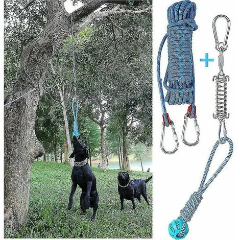 Ensemble De Jouets De Barre à Ressort Pour Chien Exercice Suspendu En Plein Air Corde De Coton Jouet De Dent De Chien Ruikalucky