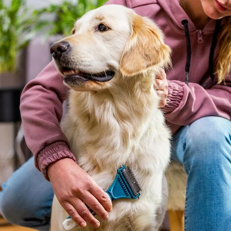Kit De Toilettage Professionnel Pour Chiens Chats - FIRSTPAW - Un Peigne Démêlant, Un Râteau De Toilettage, Un Coupe Griffes - Retire Les Poils Morts – Image 3
