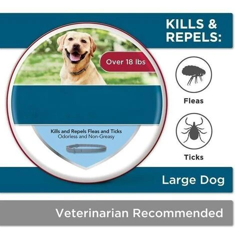 Collier Anti-puces Pour Animaux De Compagnie Sangle De Cou Réglable 8 Mois De ProtectionPour Les Animaux De Compagnie