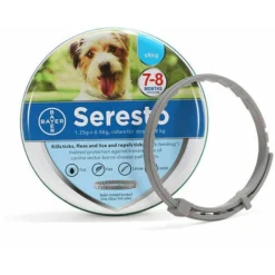 Chien Collier Anti-Puces Et Anti-Tiques Pour Petits Chiens - Moins De 8KG,