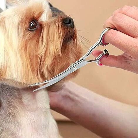 Ciseaux Coiffure De Chien, Ciseaux De Toilettage En Acier Inoxydable Lame Gromming Courbé Pour Chiens Animaux De Compagnie – Image 5