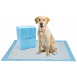 Tapis Pour Chiots Tapis De Dressage Pour Chiots Extrêmement Absorbants 40 Pièces 60X60cm