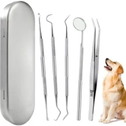 5 Pièces Avec Boîte - Kit De Nettoyage Des Dents De Chien Outils Buccaux En Acier Inoxydable Outils De Nettoyage Dentaire Pour Animaux De Compagnie,.
