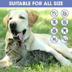 Produits Anti-puces Et Anti-tiques Pour Chiens Et Chats - Protégez Vos Animaux De Compagnie Contre Les Moustiques Et Les Insectes - Repoussez Les Parasites Avec Des Ultrasons
