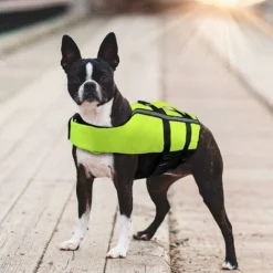 Gilets De Sauvetage Pour Chiens Gilets De Sauvetage Pour Chiens Gilets De Sauvetage Gonflables Portables Pour Petits / Moyens / Grands Chiens, Vert